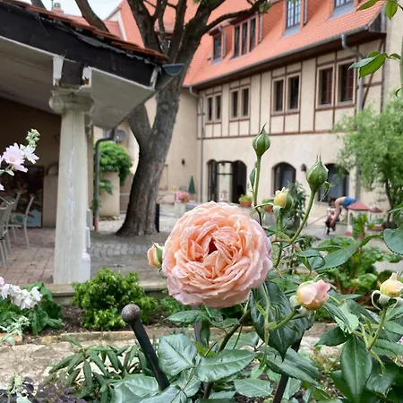 Gaestehaus Geiseltalsee Hébergement de vacances Mucheln