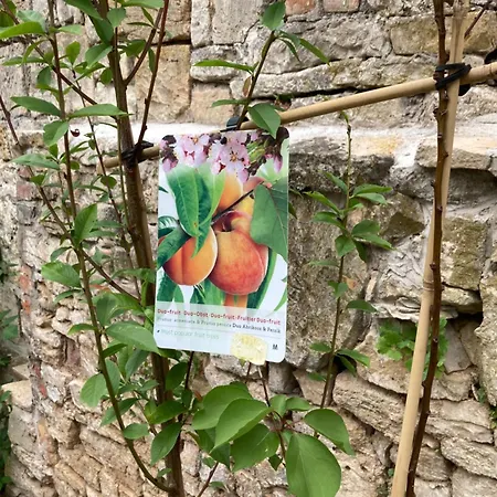 Gaestehaus Geiseltalsee * Mucheln