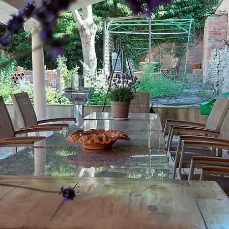 Ferienhaus Geiseltalsee