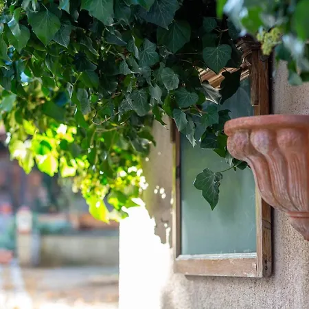 Gaestehaus Geiseltalsee Mucheln