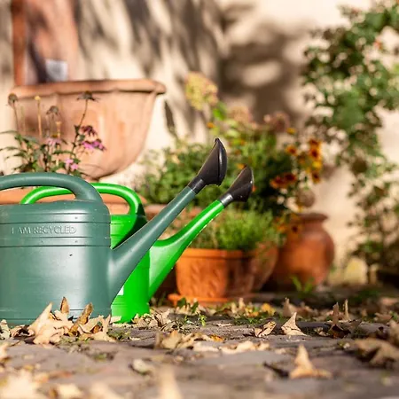 Hébergement de vacances Gaestehaus Geiseltalsee