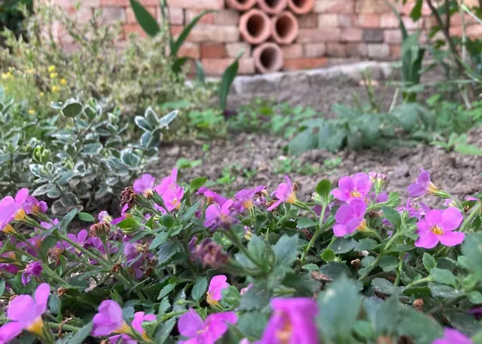 Gaestehaus Geiseltalsee Nyaraló Mücheln