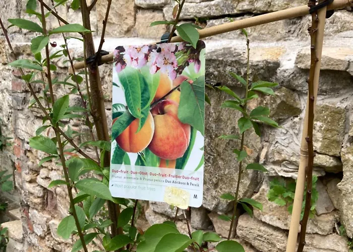 Gaestehaus Geiseltalsee * Mücheln