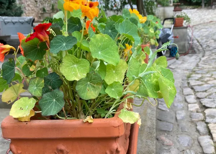 Gaestehaus Geiseltalsee *