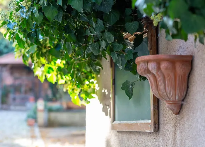 Gaestehaus Geiseltalsee Mücheln